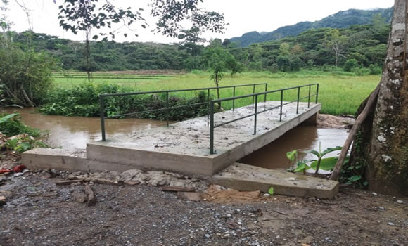 Construcción del puente peatonal en el sector San Carlos, Caserío el Cedro, Distrito de Nueva Cajamarca – Rioja- San Martin 